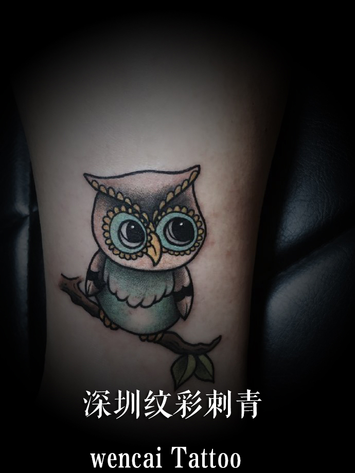 深圳温小姐小臂可爱的彩色猫头鹰纹身图案