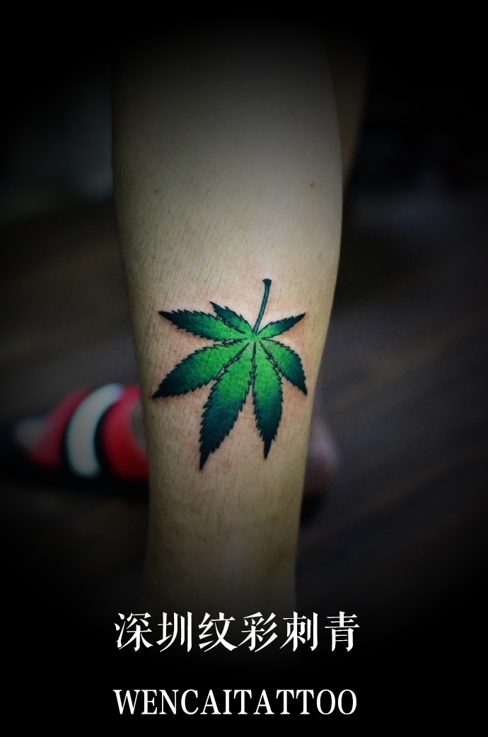 身材壮硕的费先生小腿绿色枫叶纹身图案