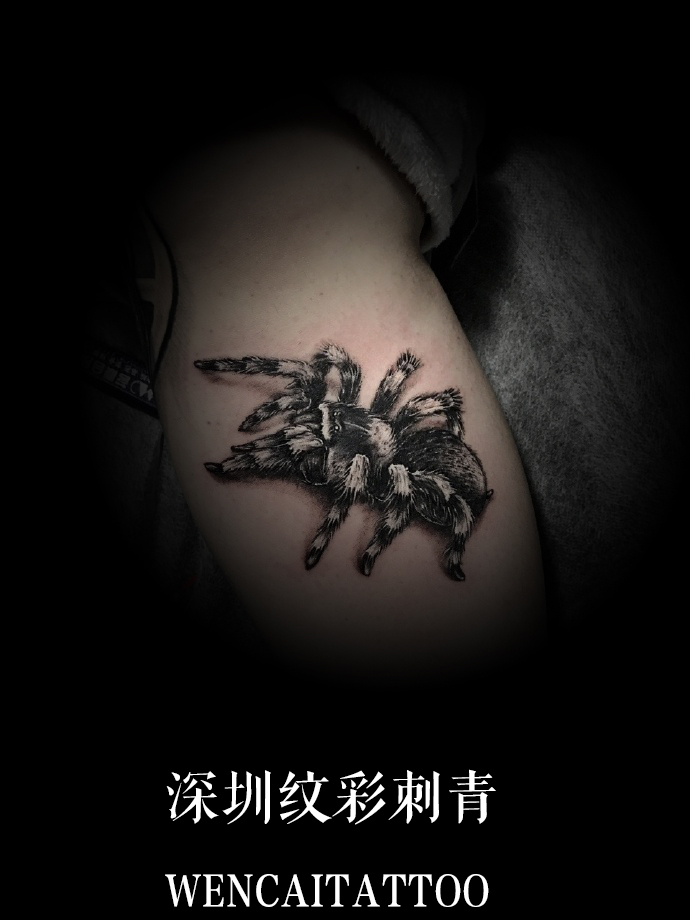 成熟帅气的米先生手臂3D蜘蛛纹身