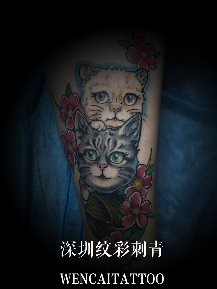 帅气的宁先生可爱小猫写实纹身
