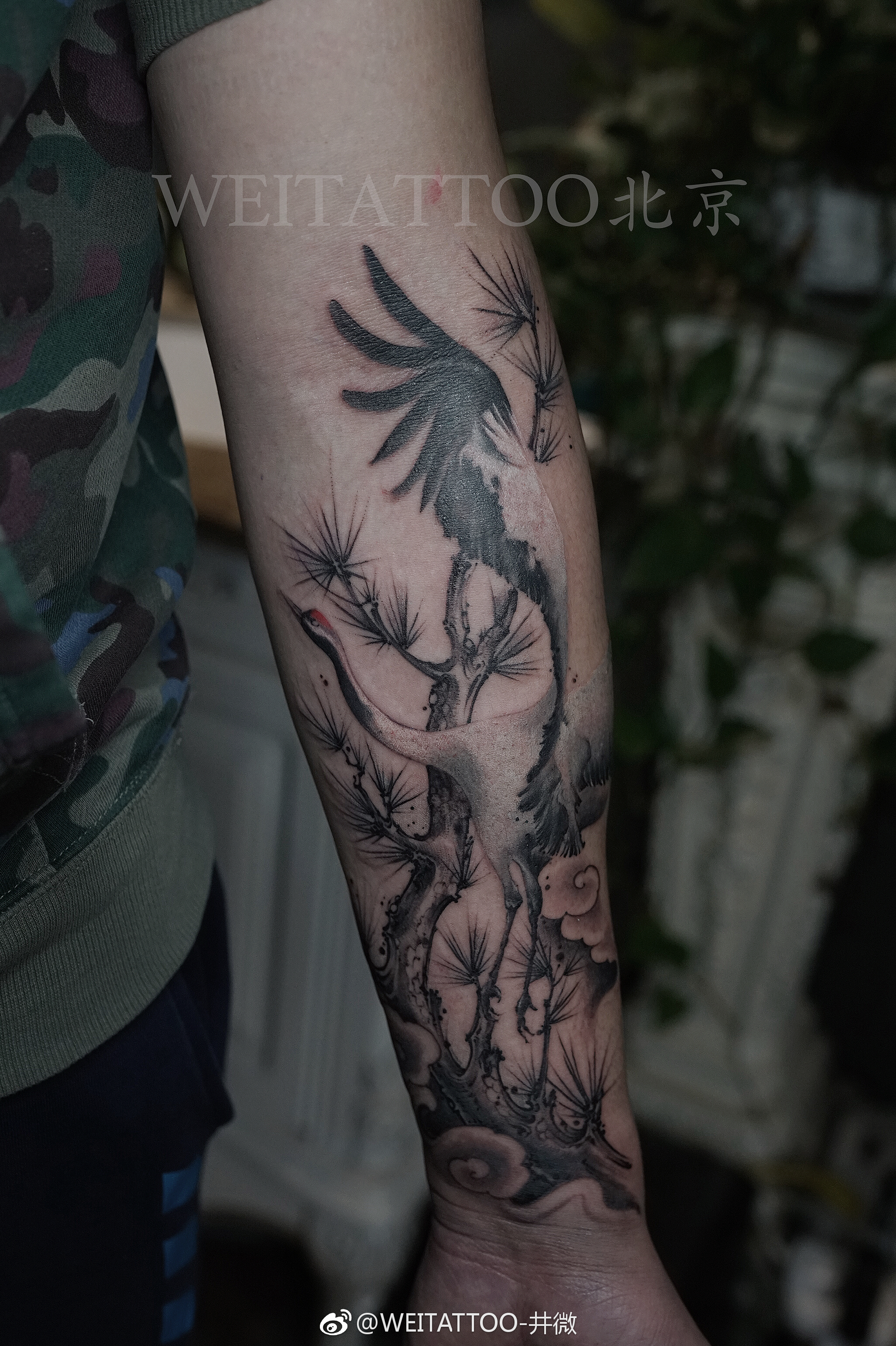 小臂水墨松树仙鹤纹身图案